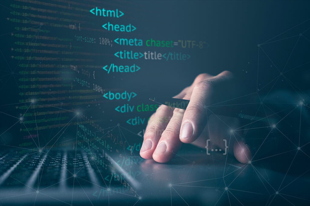 NT Web Development Coding